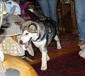 Aleshanee 2-2009 036